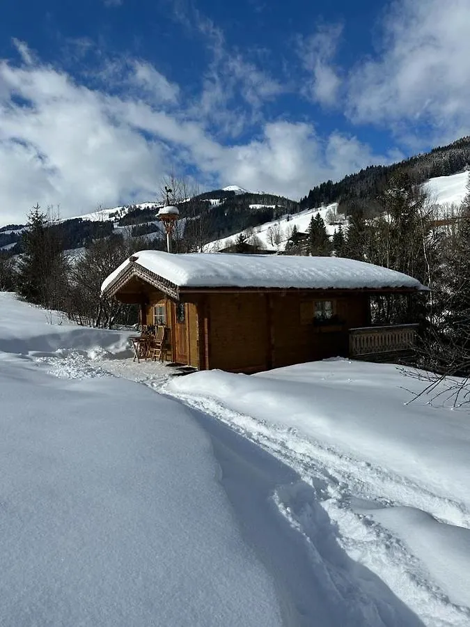 Baerenbach - Almhuette Saalbach Daire